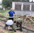 Вместе мы сильнее: не только словом, но и делом - Единая Россия