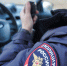 В Уссурийске с клумбы с медведями украли гортензии и набросали мусор - КП Владивосток