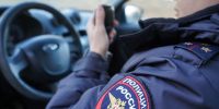 В Уссурийске с клумбы с медведями украли гортензии и набросали мусор - КП Владивосток