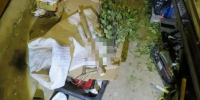 Жительница Марий Эл получила 6 лет колонии за убийство сожителя черенком от лопаты - Газета Ваш Новый День