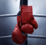 Боец UFC Аллан Насименто умер в 34 года - РТВ-Подмосковье