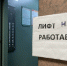 Подросток за рулём сбил лося, пассажир погиб - MagadanMedia.Ru