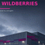 Заметили ли жители Новомосковска изменения в работе Wildberries - ИА Новомосковск Сегодня