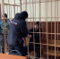 Проникший в детсад Бугуруслана с ножом Илья Миронов помещён в психстационар - Ria56.Ru