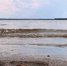 2 человека погибли на водоёмах Архангельской области 1 августа - ГТРК Поморье