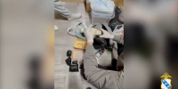 В Курске полицейские поймали закладчика с крупной партией синтетических наркотиков - РИА Курск