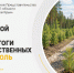 В Херсонской области подвели итоги лесохозяйственных работ за июль - Представительство Херсонской области в Республике Крым