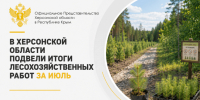 В Херсонской области подвели итоги лесохозяйственных работ за июль - Представительство Херсонской области в Республике Крым
