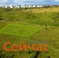 Нижегородцам разрешат получать землю повторно - ИА Нижний сейчас