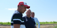 DSCF6851 - Сетевое издание Арбуз