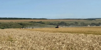 Роберт Искандаров оценил ход уборочной кампании в хозяйстве «Аммоний Агротехнологии» - Менделеевский район