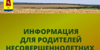 Памятка для родителей по безопасности ребенка на дороге. - Александровский муниципальный округ