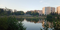 Уровень заболеваемости геморрагической лихорадкой с почечным синдромом в Сарове выше областного - NGSarov.Ru