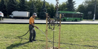 В курском парке «Патриот» регулярно поливают яблони и розы - Городские Известия