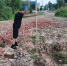 Следком Удмуртии возбудил уголовное дело из-за полуразрушенной дороги в Воткинске - Сусанин