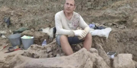 На территории Кубани когда-то водились слоны. В Темрюкском районе нашли останки шести древних животных. Есть еще интересные находки - LiveKuban.Ru