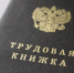 Воронежцам рассказали о возможности подростков работать в выходные и праздники - РИА Воронеж