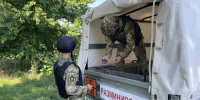 В Белгородском водохранилище нашли и обезвредили снаряды времён ВОВ - Сетевое издание Знамя 31