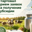 Объявление о проведении отбора получателей субсидии на поддержание приоритетных направлений агропромышленного комплекса (поддержание доходности сельскохозяйственных товаропроизводителей в молочном скотоводстве) - Министерство сельского хозяйства