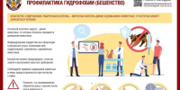 Роспотребнадзор информирует о рекомендациях по профилактике бешенства - Дзержинские ведомости
