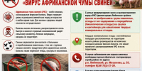 Памятка для населения!. - Любинский район