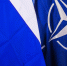 Кнутов заявил, что победа РФ в СВО предотвратит нападение НАТО - ИА Общественная служба новостей