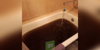 «Изменение цвета воды не угрожает здоровью» - 31TV.RU