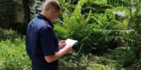 В Макеевке задержан мужчина, подозреваемый в совершении особо тяжкого преступления - Следственный комитет