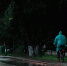 В Воронежской области ожидаются туман и гроза - РИА Воронеж