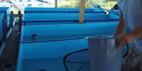 Видео - ТВН
