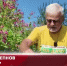 Видео - ТВН