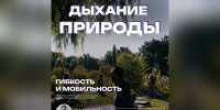 В Ботаническом саду им. В. Н. Ржавитина пройдёт тренировка по гибкости! - МГУ им. Н.П. Огарева