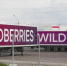 Wildberries строит в Казахстане огромные склады - LiveKuban.Ru