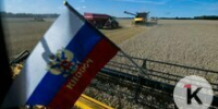 Успеть до росы: как в поле под Гвардейском убирают хлеб (фоторепортаж) - Klops.Ru