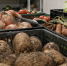 Испорченные продукты без документов обнаружили в Мурманской области - Телекомпания ТВ-21