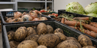 Испорченные продукты без документов обнаружили в Мурманской области - Телекомпания ТВ-21