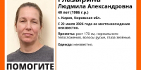 Кировские волонтеры просят помочь в поисках исчезнувшей молодой женщины - Prochepetsk.ru