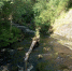 река среди скал и леса, бревно в реке - Петрозаводск говорит