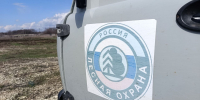 лесная охрана, лес - Novosti-Saratova.Ru