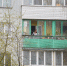 Фото: ПАИ - InformPskov.Ru