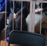 «Липовые» предприниматели из Навлинского района попались на мошенничестве - Газета Брянские новости