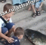 Screenshot_20260804_184050_VK - Сетевое издание Арбуз