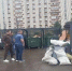 В Бугульме проверили мусорные контейнерные площадки - Бугульминская газета