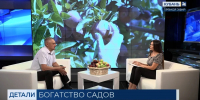 Наукоемкая отрасль: эксперты оценили развитие садоводства в Краснодарском крае в эфире «Кубань 24» - Министерство сельского хозяйства