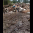 Водитель мусоровоза пожаловался на забитую до краев свалку омского севера - СуперОмск
