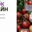 О платформе "Цифровой рынок" - Салаватский район