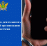 На Дону наказали кредитную организацию за настойчивые звонки должнице - Газета Таганрогская правда