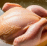 Тихонов заявил о давлении на оптовые цены на курятину - ИА Общественная служба новостей
