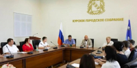 Мэр Курска и блогеры обсудили лужу на Ленина и заросли борщевика - Курские Известия