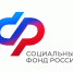 Работодатели Ростовской области получили более 100 млн рублей субсидий на трудоустройство - Газета Родионово-Несветайский вестник